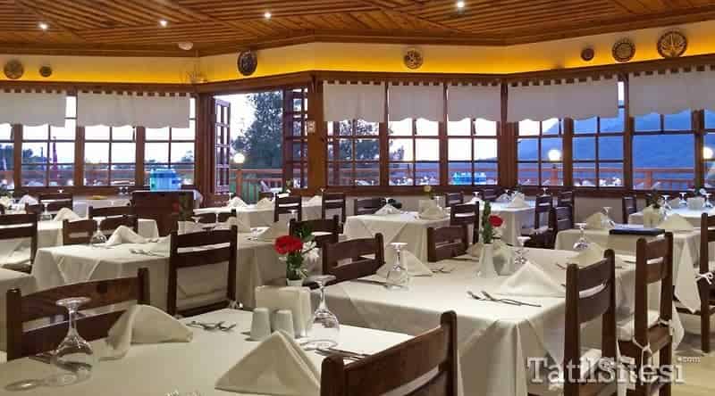 Montana Pine Resort Hotel